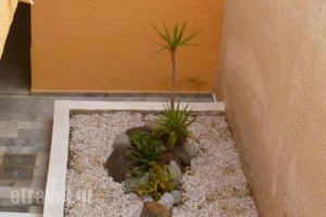 Liberty II_holidays_in_Hotel_PiraeusIslands - Trizonia_Aigina_Aigina Chora