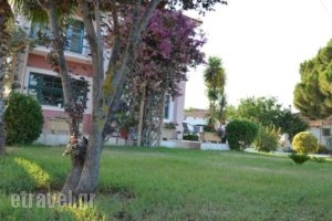 Rena's House_best deals_Hotel_Peloponesse_Achaia_Kalogria