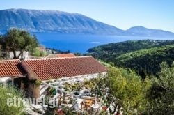 Fiskardo Olive Cottage hollidays