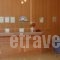 Olympic Torch_lowest prices_in_Hotel_Peloponesse_Ilia_Olympia