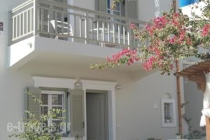 Anemos Studios_accommodation_in_Hotel_Cyclades Islands_Naxos_Naxos chora