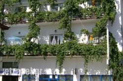 Hotel Theo hollidays