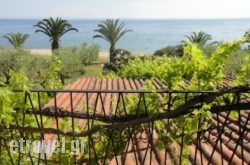 Afroditi Beach hollidays Afroditi Beach hollidays