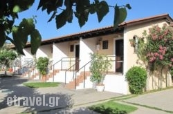 Alexandra Makris Gialos Studios hollidays Alexandra Makris Gialos Studios hollidays