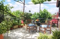 El Greco Studios hollidays El Greco Studios hollidays