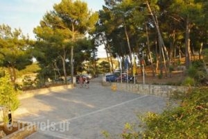 Forest Park_holidays_in_Hotel_Crete_Rethymnon_Rethymnon City