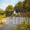Forest Park_holidays_in_Hotel_Crete_Rethymnon_Rethymnon City