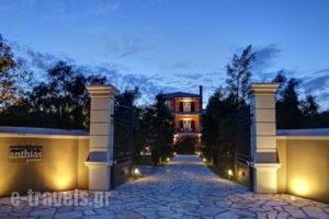 Anthias Garden_accommodation_in_Hotel_Ionian Islands_Lefkada_Lefkada Chora