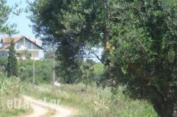 Villa Georgina B&B hollidays Villa Georgina B&B hollidays