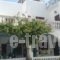 Hotel Eleftheria_lowest prices_in_Hotel_Cyclades Islands_Paros_Paros Chora