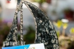 Golden Star Apartments hollidays Golden Star Apartments hollidays