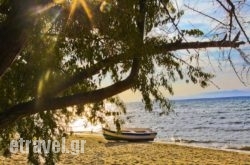 Hotel'S Tella hollidays Hotel'S Tella hollidays