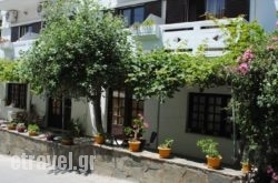 Pension Irene hollidays Pension Irene hollidays