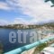 Paradise Design Apartments hollidays