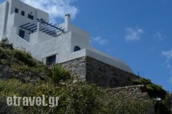 Theodora hollidays Theodora hollidays