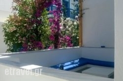 Doron Hotel Delfini hollidays