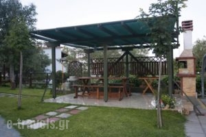 Akrathos Houses_travel_packages_in_Macedonia_Halkidiki_Haniotis - Chaniotis