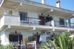 Alexandros Apartments hollidays Alexandros Apartments hollidays