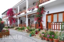 Vergonis Studios hollidays