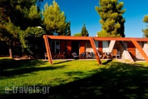 Villa Aggeliki_accommodation_in_Villa_Central Greece_Evia_Eretria