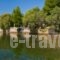 Villa Aggeliki_best deals_Villa_Central Greece_Evia_Eretria