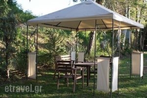 Olga Rooms_best deals_Room_Epirus_Preveza_Mytikas