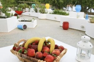 Maganas Hotel_best deals_Hotel_Dodekanessos Islands_Astipalea_Astipalea Chora