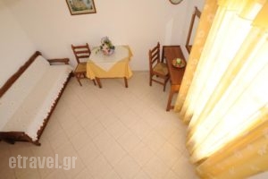 Mandilaria Studios_holidays_in_Hotel_Cyclades Islands_Sandorini_Sandorini Chora