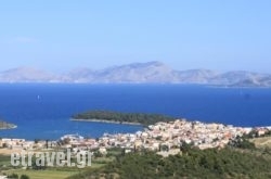 Treehouse Holiday Homes hollidays Treehouse Holiday Homes hollidays