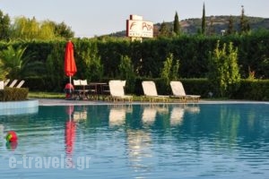 Arta Palace_lowest prices_in_Hotel_Epirus_Arta_Arta City
