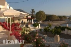 Studios Irene hollidays Studios Irene hollidays