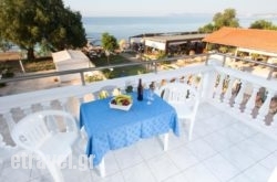 Papidakis Studios hollidays