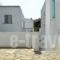 Aegean Village_best deals_Hotel_Cyclades Islands_Paros_Paros Chora