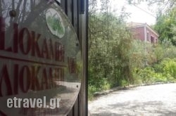 Liokambi Village Bungalows hollidays