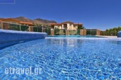 Monachus Monachus hollidays Monachus Monachus hollidays