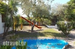 Pleiades Studios And Maisonettes hollidays Pleiades Studios And Maisonettes hollidays