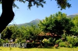 Alekas Studios hollidays Alekas Studios hollidays