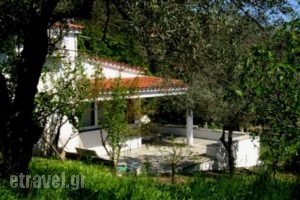 Ftelia_travel_packages_in_Sporades Islands_Skiathos_Skiathos Chora