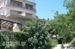 Ankypy Studios hollidays Ankypy Studios hollidays