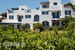 Aloe hollidays Aloe hollidays