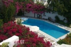 Spiti Valia hollidays Spiti Valia hollidays