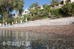 Grekis Beach Hotel and Apartments  