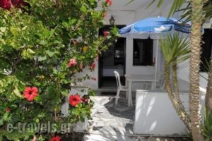 Alex_lowest prices_in_Hotel_Cyclades Islands_Tinos_Tinosora