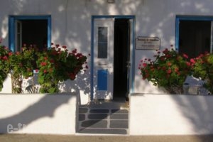 Adam Mikele_lowest prices_in_Hotel_Cyclades Islands_Mykonos_Mykonos ora