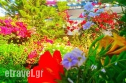 Angelika hollidays Angelika hollidays