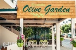 Elounda Olive Garden Apts & Studios  