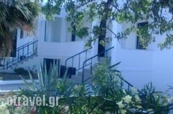 Moscha Studios hollidays