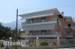 Porto Thassos hollidays Porto Thassos hollidays