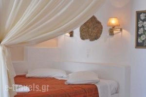 Evi'S Studios_holidays_in_Hotel_Cyclades Islands_Amorgos_Aegiali