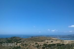 Asteras Studios_lowest prices_in_Hotel_Ionian Islands_Kefalonia_Argostoli